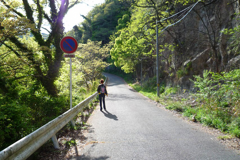 nui rokko